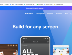 Apa Itu Flutter untuk Pengembangan Aplikasi Mobile